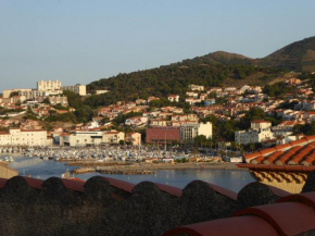 Studio Banyuls-sur-Mer, 1 pièce, 2 personnes - FR-1-309-323